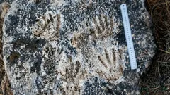 Tutkijat löysivät kämmenenjälkiä eristyneestä paikasta – miksi kukaan ei tiedä, kuka ne jätti?