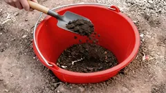 Miksi haudata ämpäri kasvimaan keskelle: puutarhurin niksi, josta harva tietää