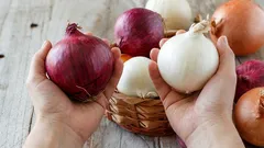 Harva tietää – tässä on tärkein ero valkoisen sipulin ja punasipulin välillä